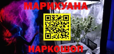 индика Кингисепп