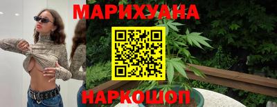 индика Кингисепп