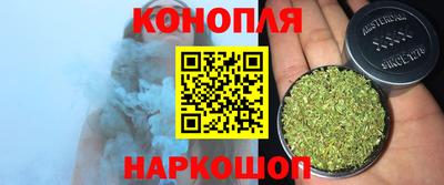 индика Кингисепп