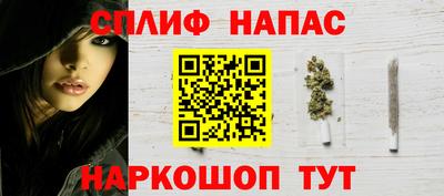 индика Кингисепп