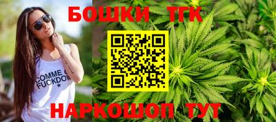 индика Кингисепп