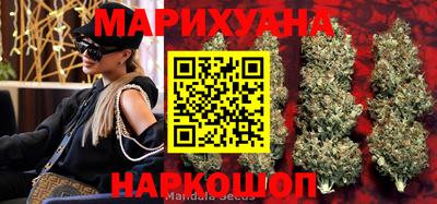 индика Кингисепп