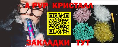 индика Кингисепп