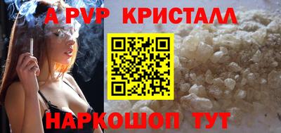 индика Кингисепп