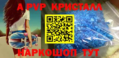 индика Кингисепп
