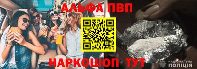 индика Кингисепп