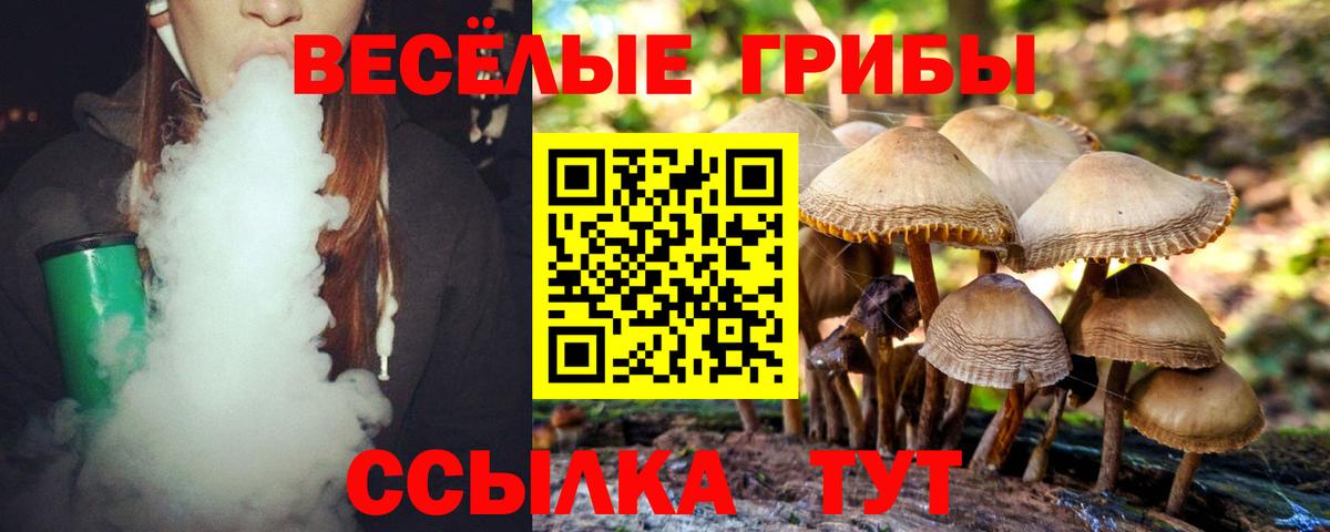 Бузулук  Галлюциногенные грибы Cubensis  сколько стоит  Вход с VPN 